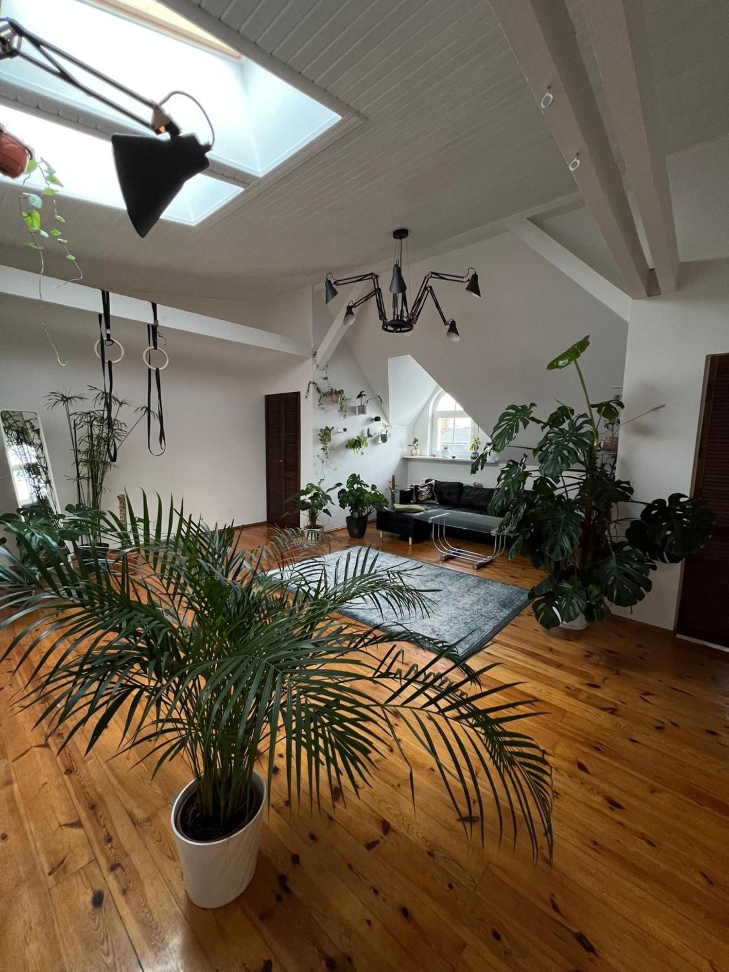 Loft Jezycki * Poznan